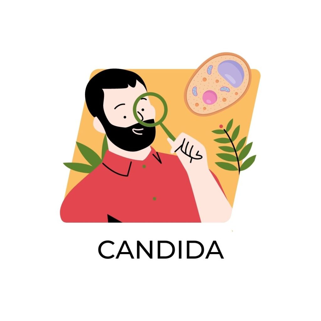 CANDIDA ico